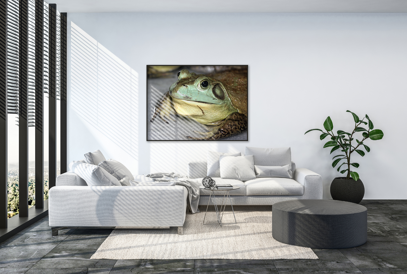 The Prince or the Frog? original abstract contextualised office art modern decor photo print by Blair Montague Drake